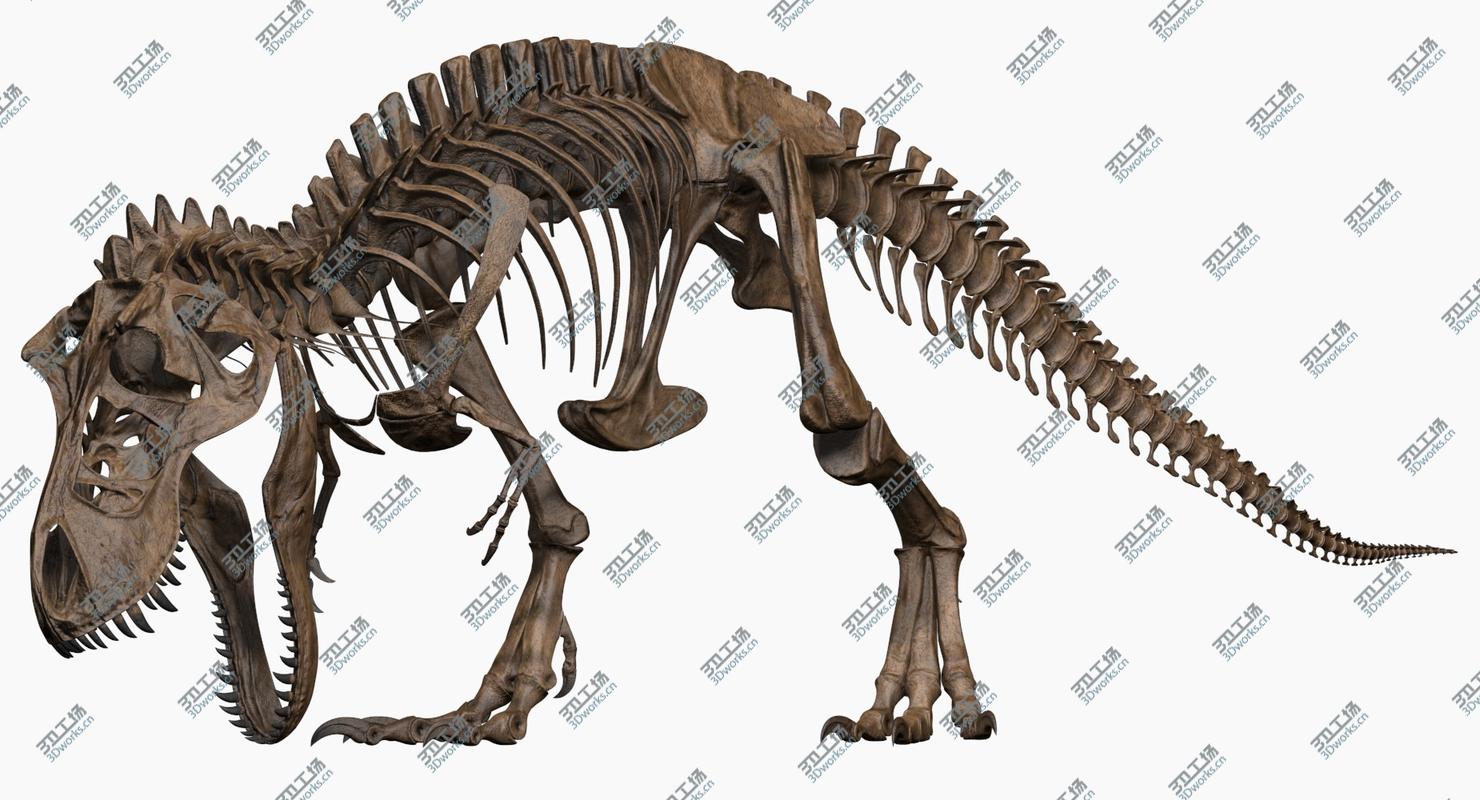 images/goods_img/202104091/3D Tyrannosaurus Rex Skeleton/4.jpg